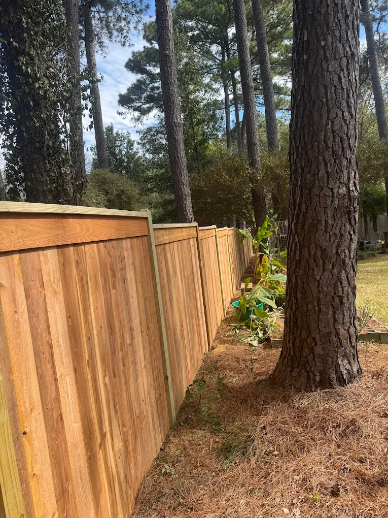 Wood Privacy